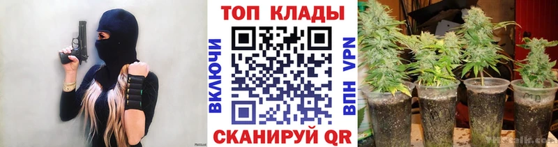 Купить Дубовка Канабис АМФЕТАМИН Альфа ПВП ГАШ Псилоцибиновые грибы Кокаин