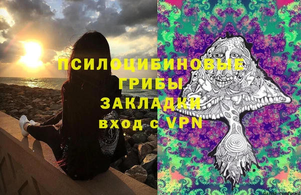 2c-b Вяземский