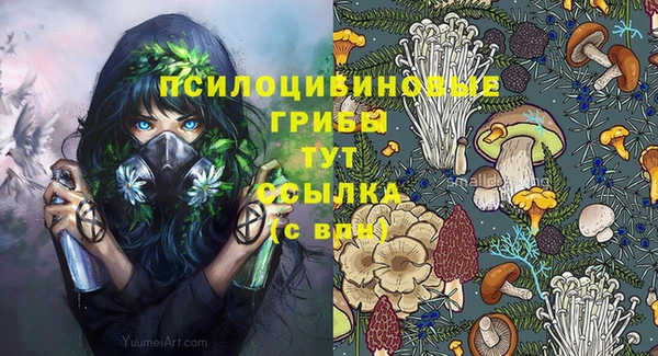 винт Вязьма
