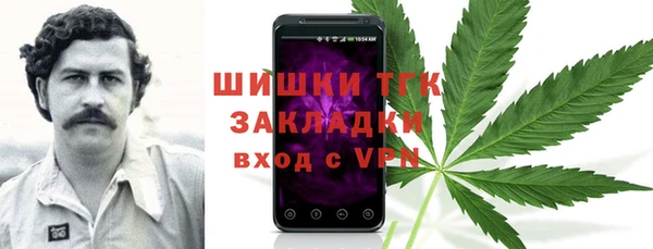 2c-b Вяземский
