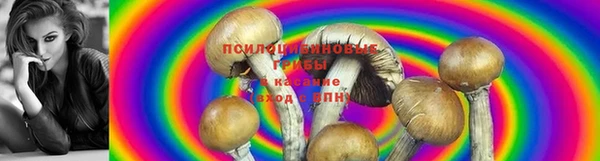 каннабис Пенза