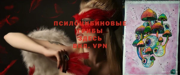 ALPHA PVP Гусев